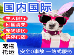 武汉航空快运国际宠物托运 【国